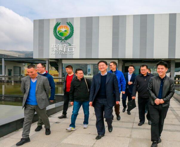 集团党委书记、董事长任丁率队调研聚峰谷