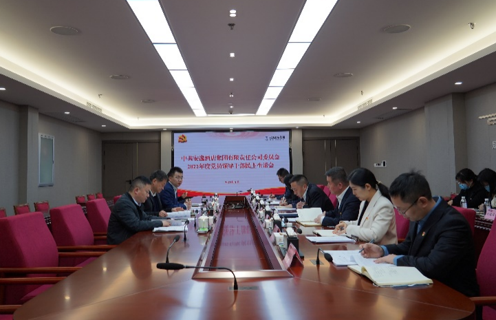 尊龙凯时集团党委书记、董事长任丁出席安逸酒店集团2022年度党员领导干部民主生活会